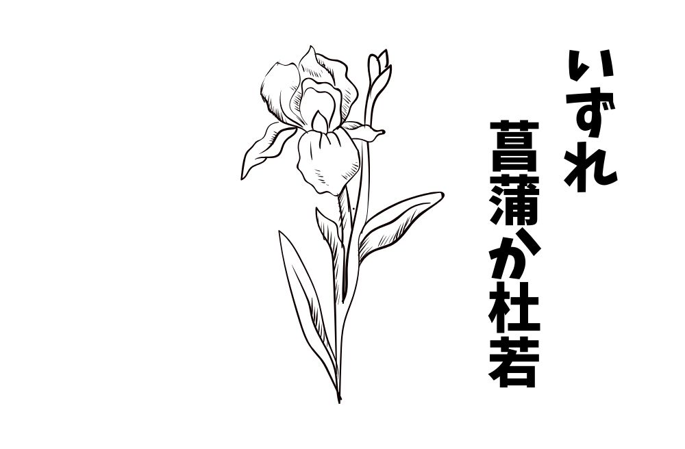 ことわざ『いずれ菖蒲か杜若』は各国でなんていうの？世界の『いずれ菖蒲か杜若』をまとめて紹介